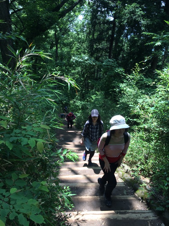 Photo 13-06-2015 11 10 21