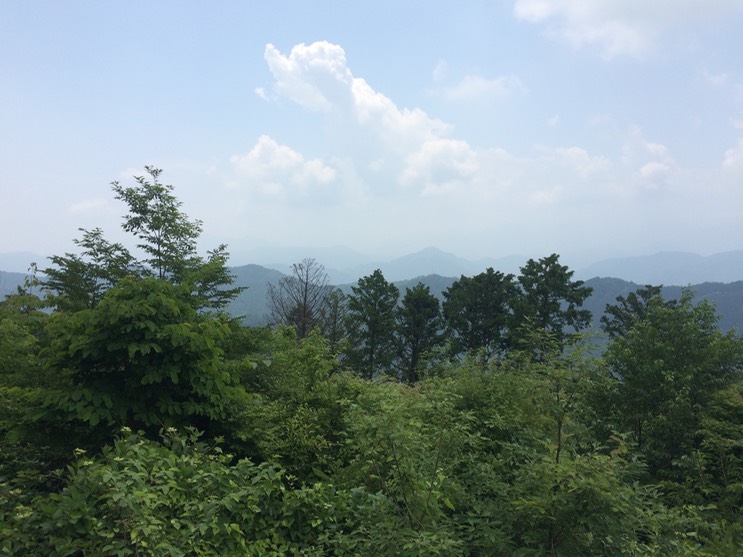 Photo 13-06-2015 11 14 05