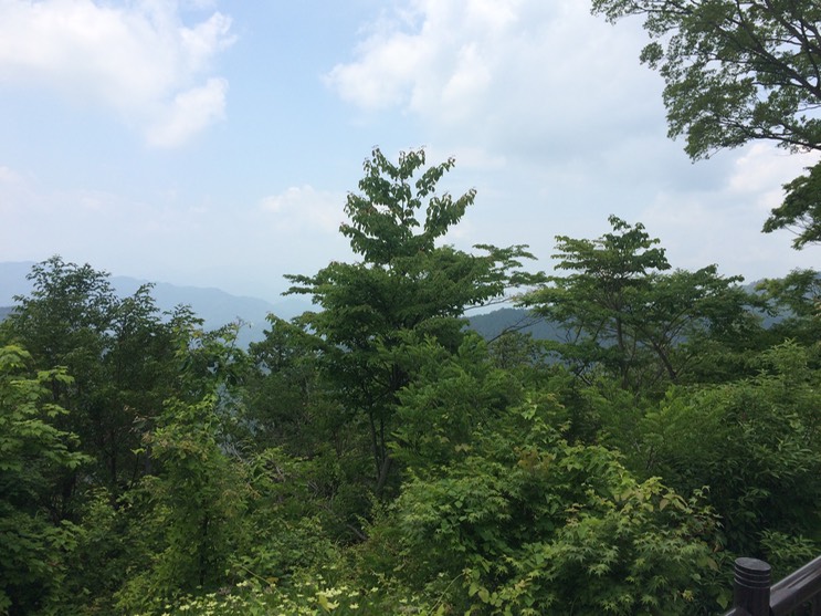 Photo 13-06-2015 11 14 09