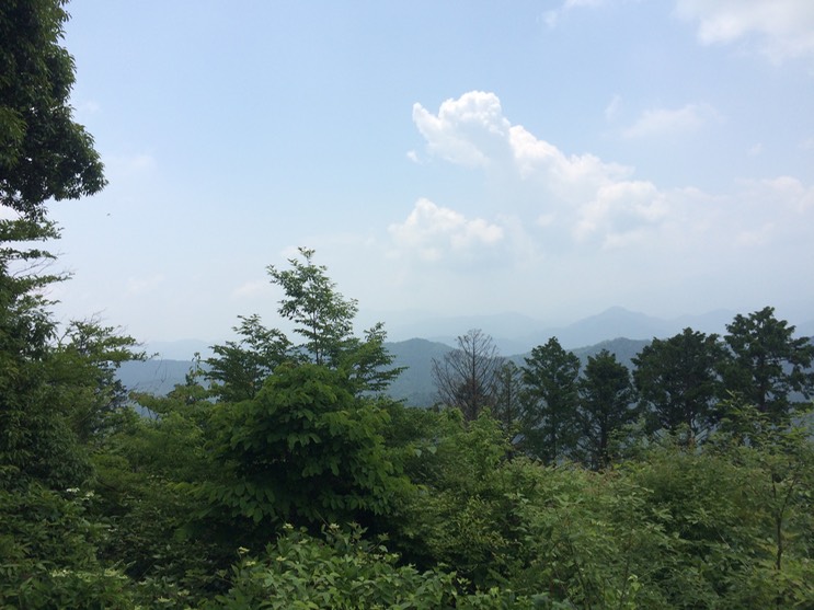 Photo 13-06-2015 11 14 12