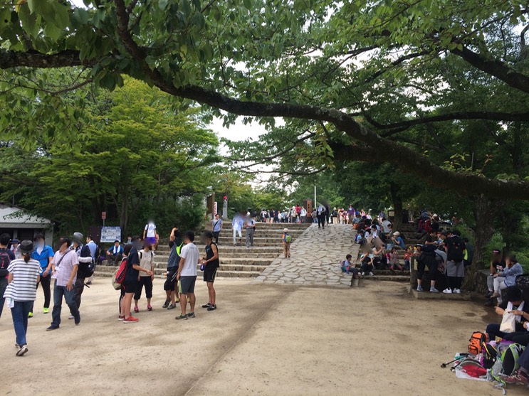 Photo 13-06-2015 11 18 17