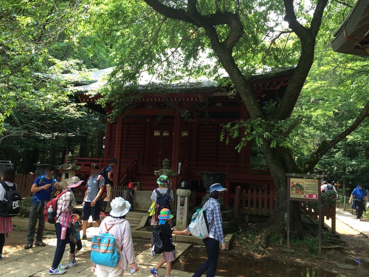 Photo 13-06-2015 11 50 41