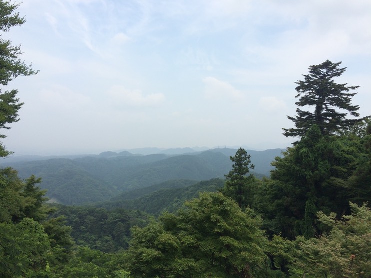 Photo 13-06-2015 12 34 28