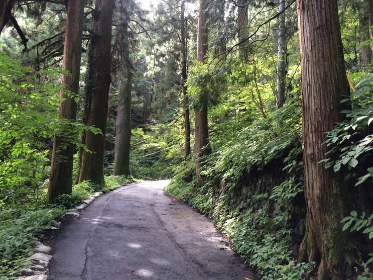 Photo 13-08-2014 10 27 45