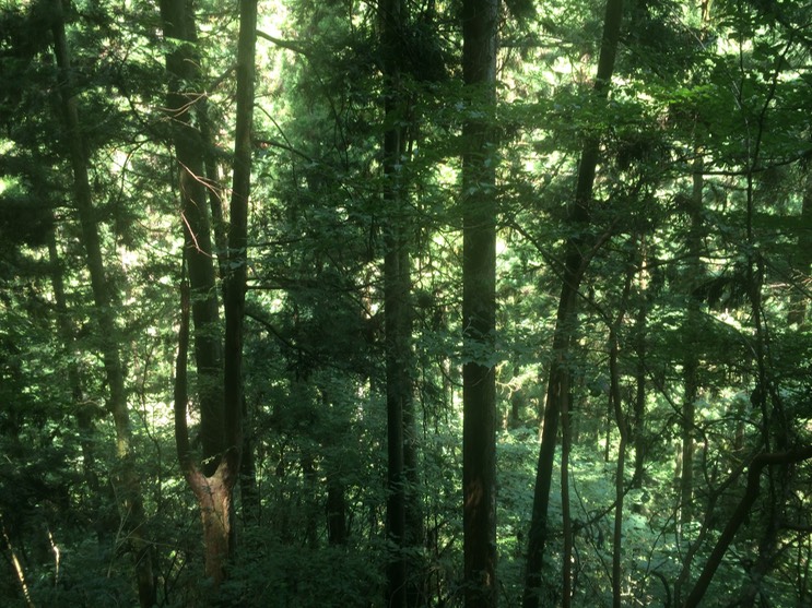 Photo 13-08-2014 10 32 14