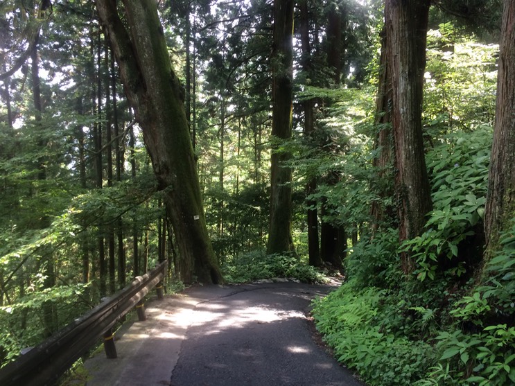 Photo 13-08-2014 10 32 22