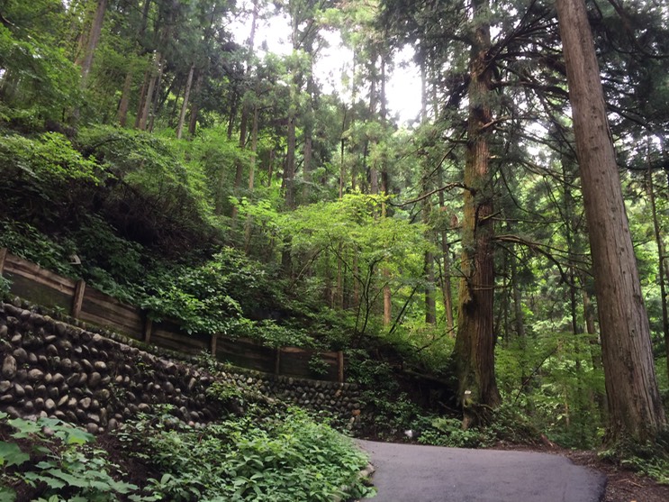 Photo 13-08-2014 10 37 45