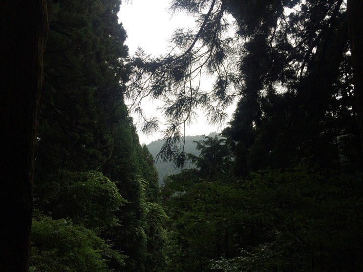 Photo 13-08-2014 11 06 51