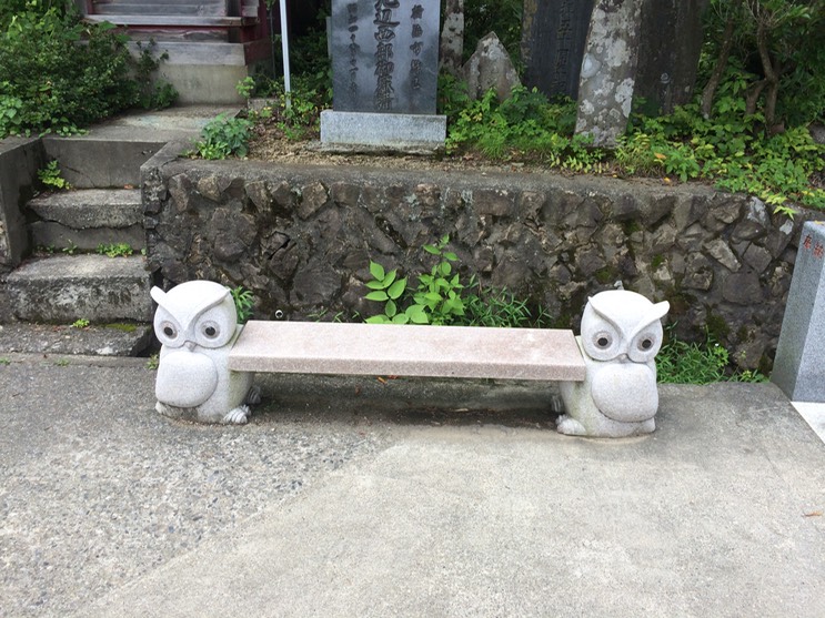 Photo 13-08-2014 11 26 04