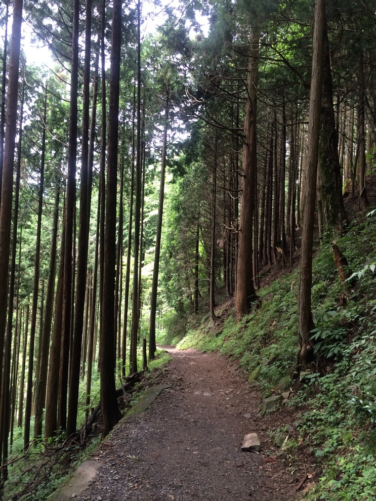 Photo 13-08-2014 11 44 17