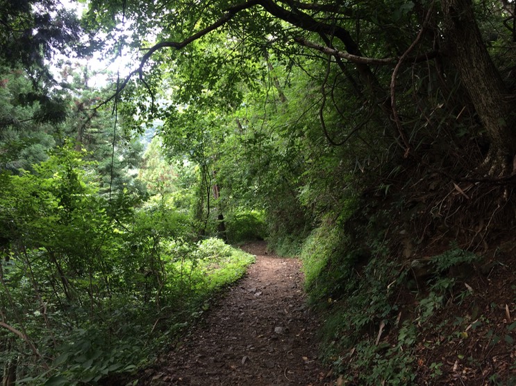 Photo 13-08-2014 11 48 16