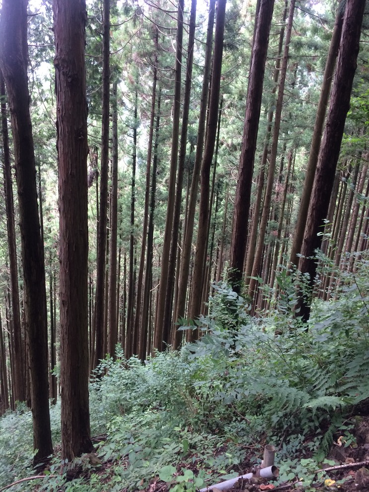 Photo 13-08-2014 11 48 25