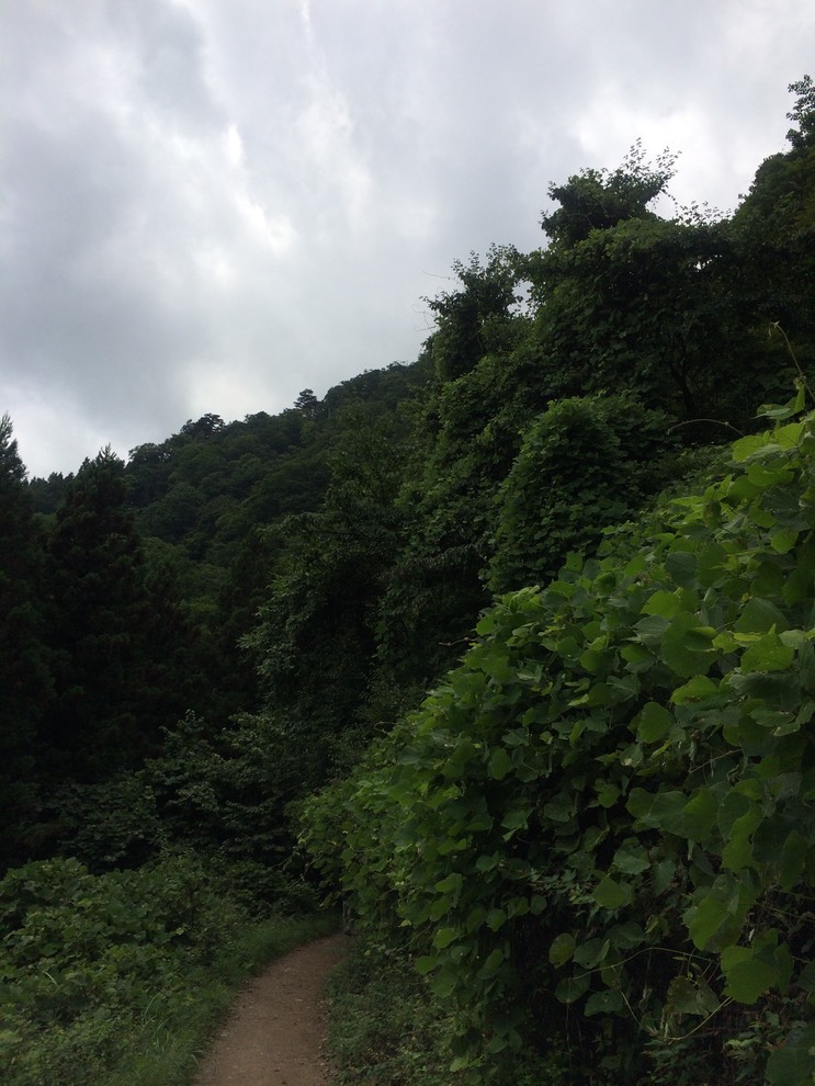 Photo 13-08-2014 11 50 49