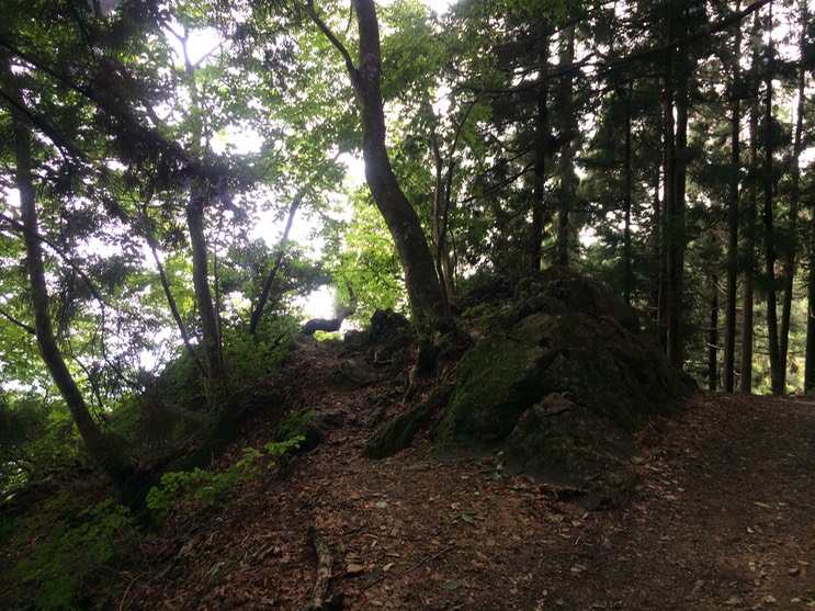 Photo 13-08-2014 11 53 03