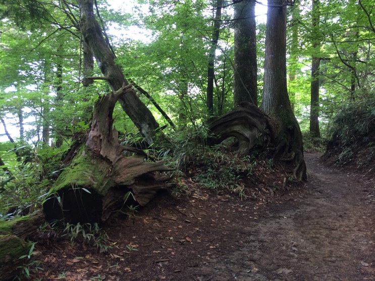 Photo 13-08-2014 11 55 35