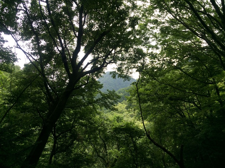 Photo 13-08-2014 11 57 28