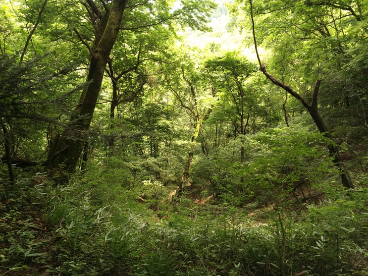 Photo 13-08-2014 11 57 32