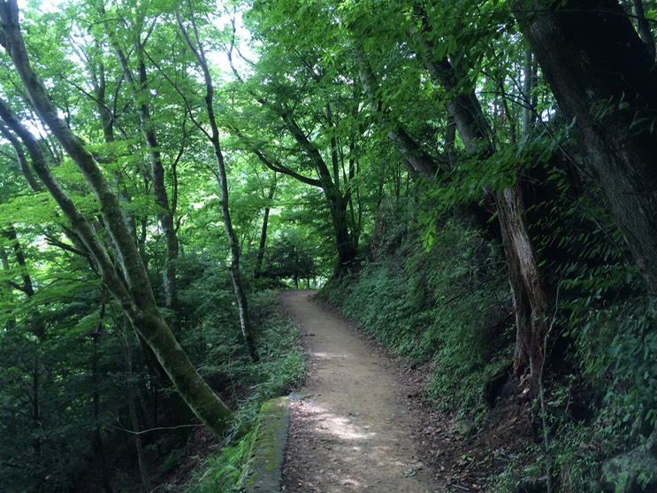 Photo 13-08-2014 11 57 41