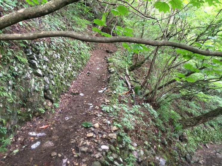 Photo 13-08-2014 12 08 54