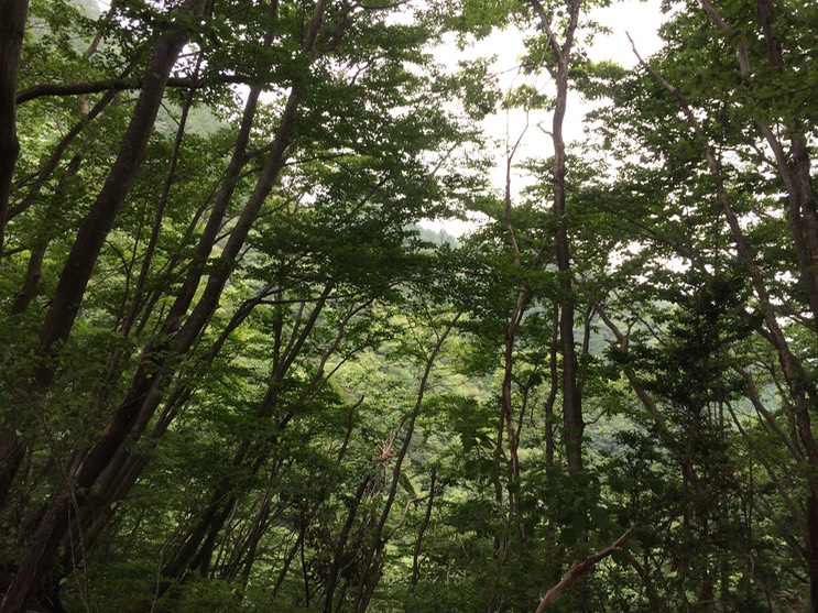 Photo 13-08-2014 12 31 20