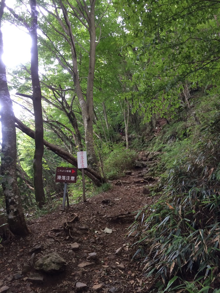 Photo 13-08-2014 12 33 57