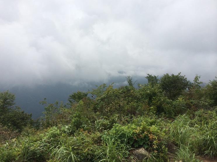 Photo 13-08-2014 13 12 10