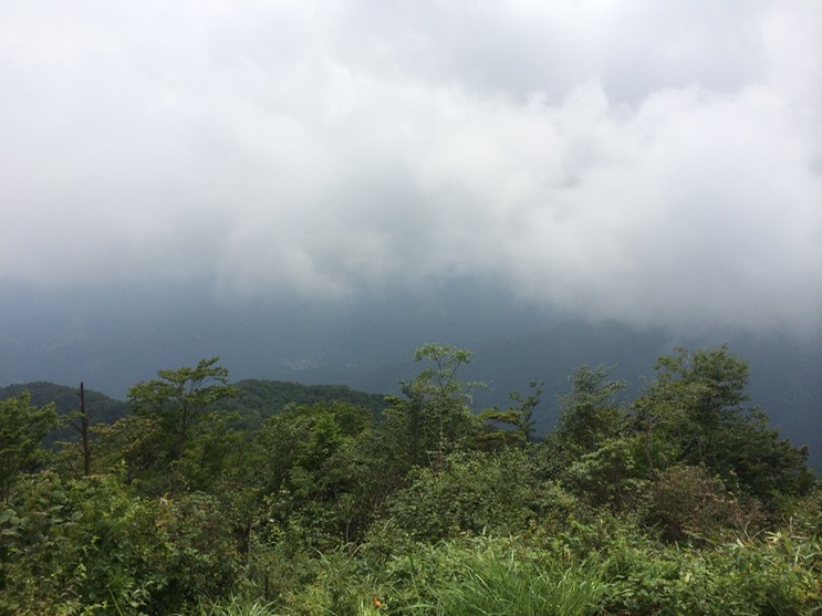 Photo 13-08-2014 13 12 13