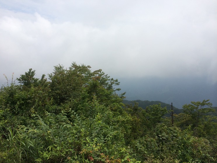 Photo 13-08-2014 13 12 17