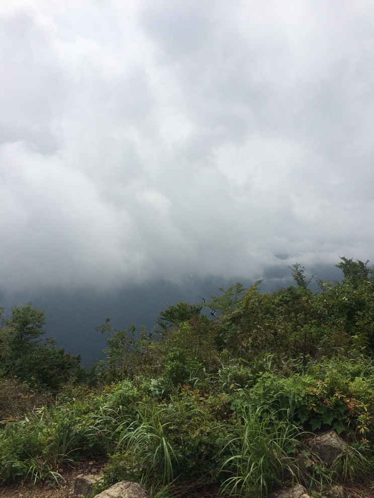 Photo 13-08-2014 13 12 26