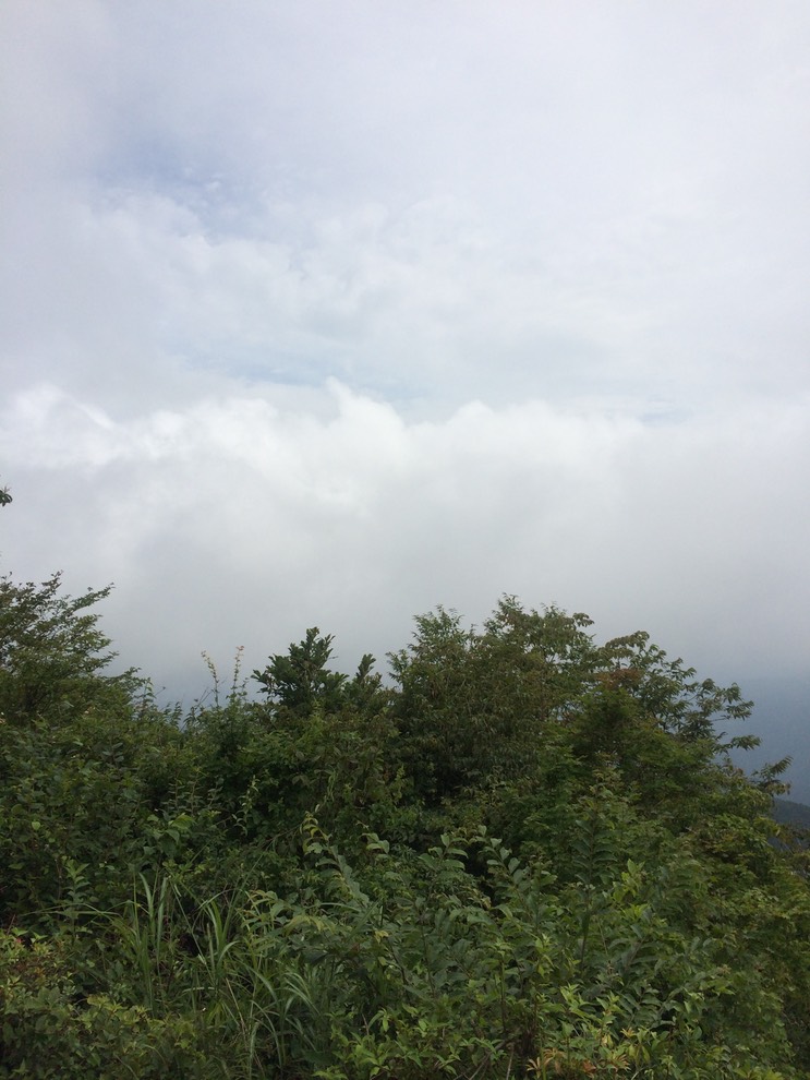 Photo 13-08-2014 13 12 31