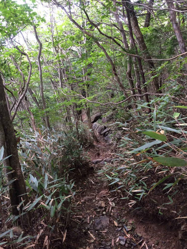 Photo 13-08-2014 13 25 18