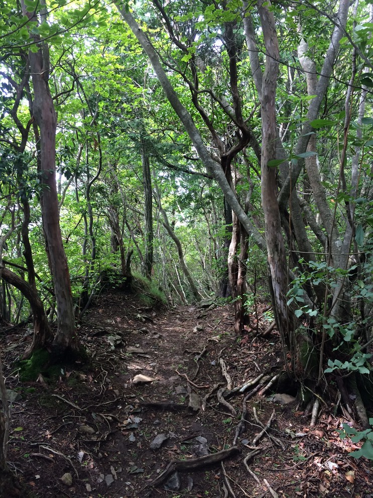 Photo 13-08-2014 13 30 46