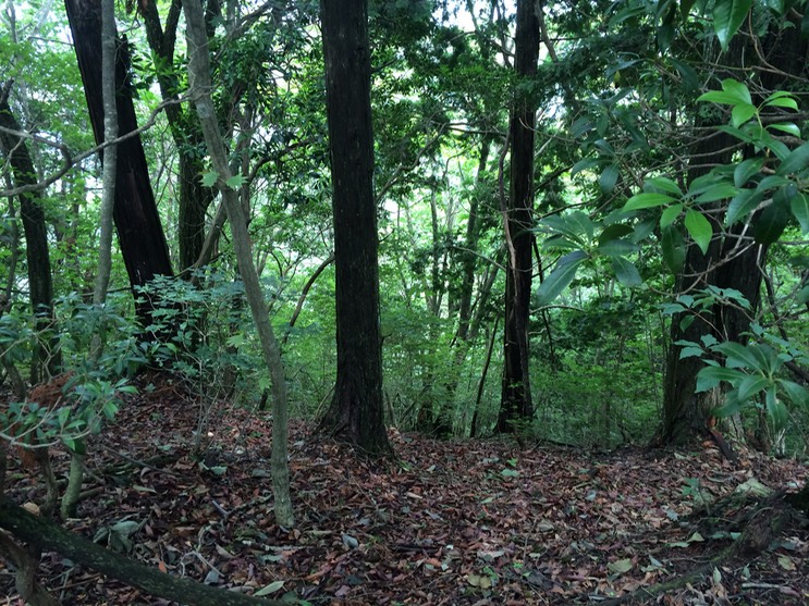 Photo 13-08-2014 13 30 51