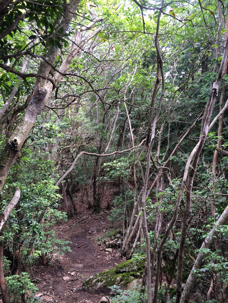 Photo 13-08-2014 13 30 55