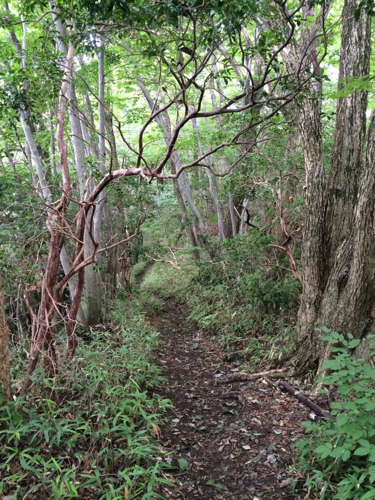 Photo 13-08-2014 13 54 14