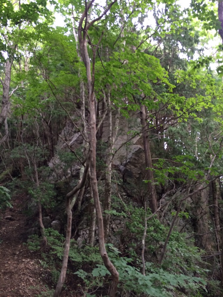 Photo 13-08-2014 14 27 42