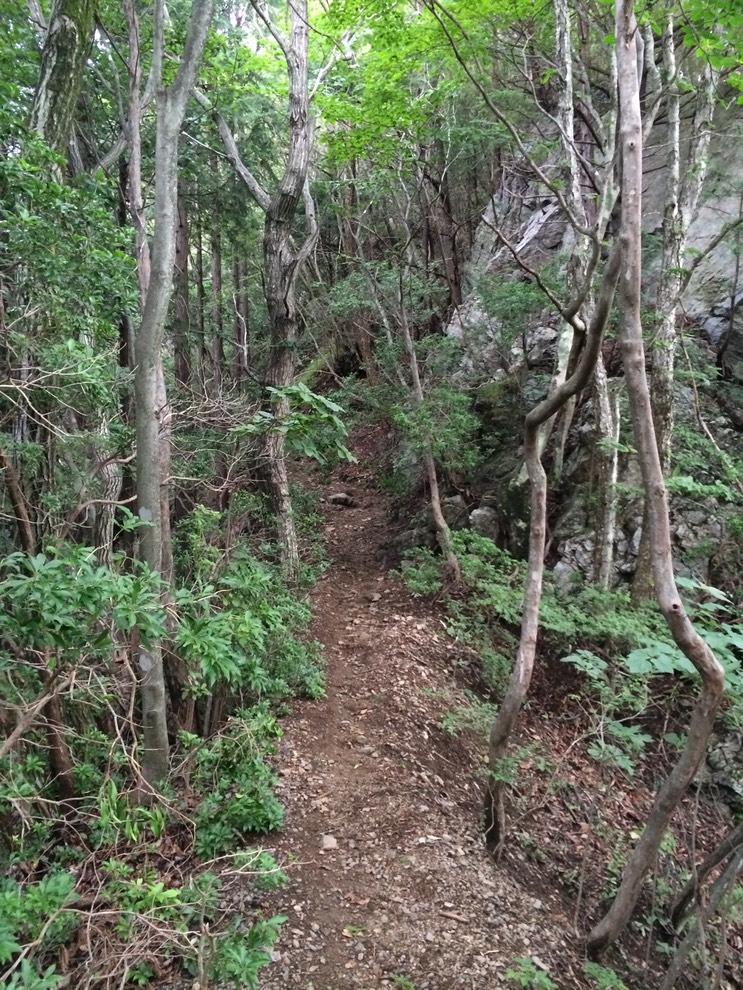 Photo 13-08-2014 14 27 49