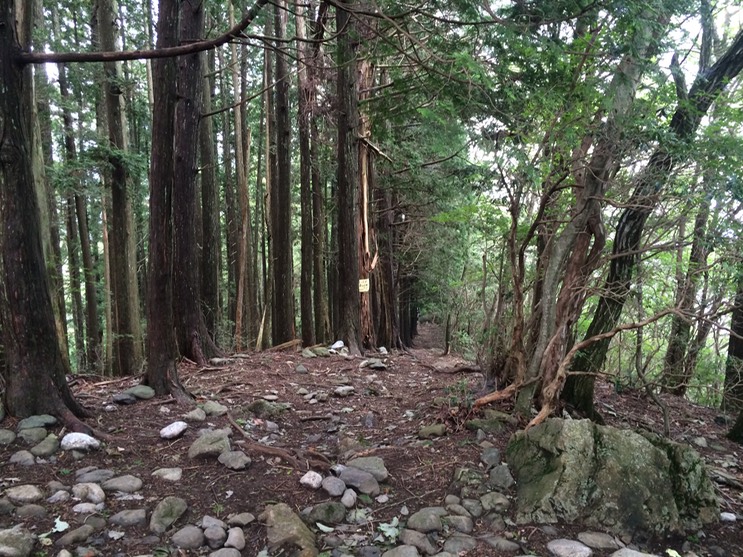 Photo 13-08-2014 14 36 07