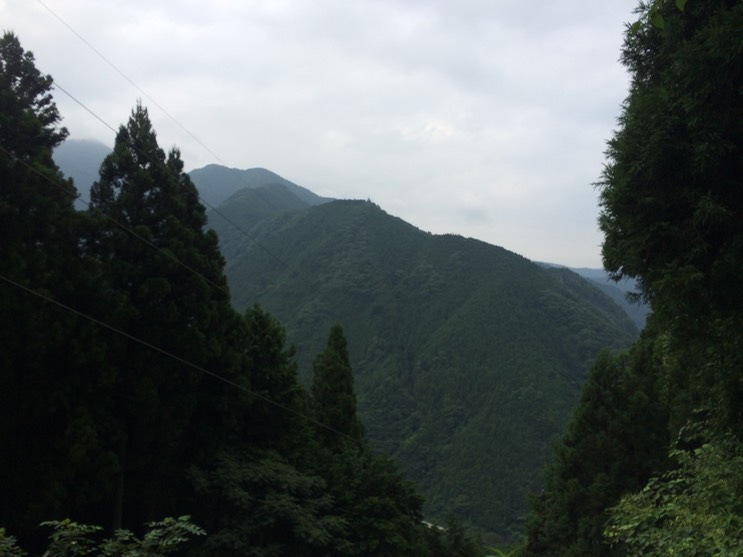 Photo 13-08-2014 16 08 37