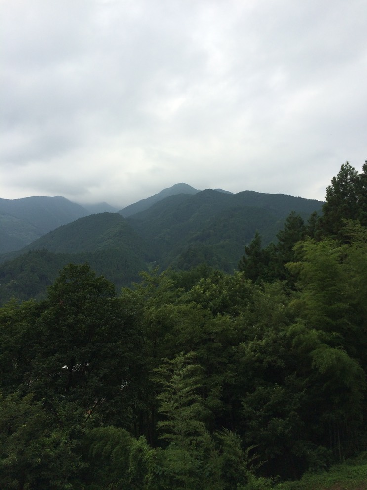 Photo 13-08-2014 16 25 45