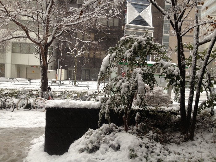 Photo 14-01-2013 14 56 34