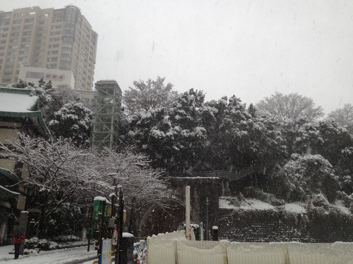 Photo 14-01-2013 14 57 39