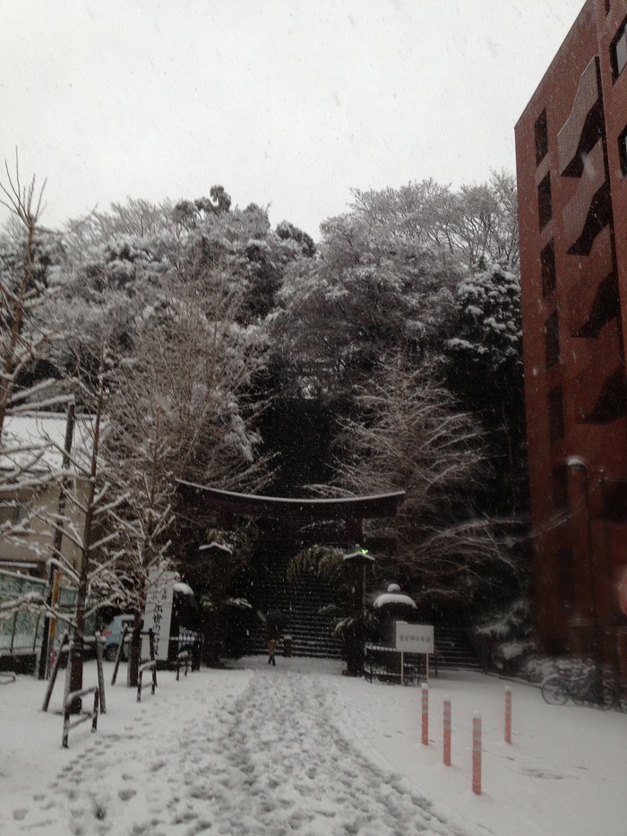 Photo 14-01-2013 14 58 40