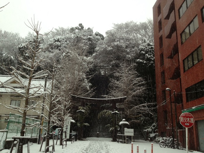 Photo 14-01-2013 14 58 57