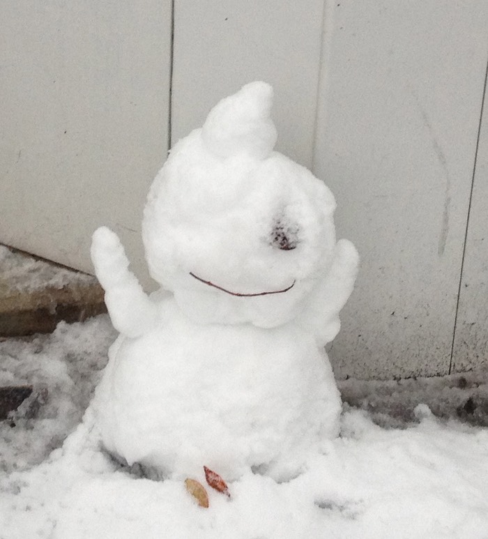 Photo 14-01-2013 15 03 14