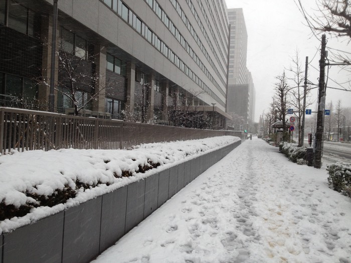 Photo 14-01-2013 15 13 38