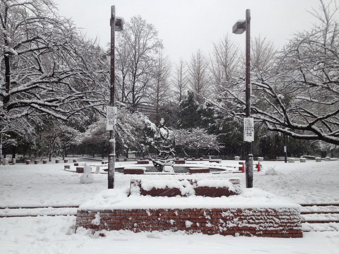 Photo 14-01-2013 15 19 03