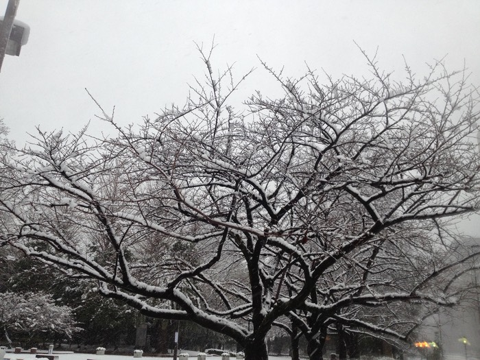 Photo 14-01-2013 15 20 25