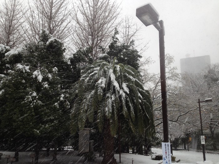 Photo 14-01-2013 15 20 59