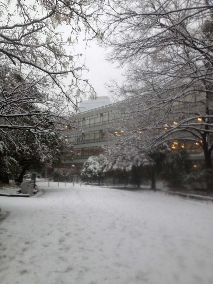 Photo 14-01-2013 15 21 28